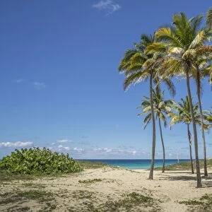 Playa De L Este, Havana, Cuba, West Indies, Caribbean, Central America