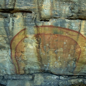 Rainbow Serpent at the Aboriginal rock art site at Ubirr Rock, Kakadu National Park