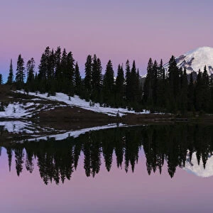 Reflection of Mount Rainier at dawn, Tipsoo Lake, Mount Rainier National Park, Washington