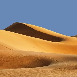 Sand dunes of Maspalomas at sunset, Maspalomas, Gran Canaria, Canary Islands, Spain, Atlantic, Europe