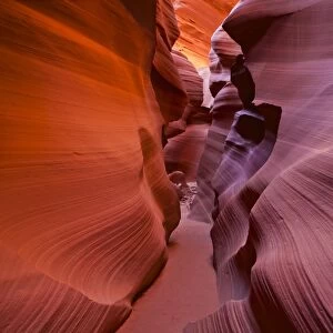 Sandstone Rock formations, Lower Antelope Canyon, Page, Arizona, United States of America, North America