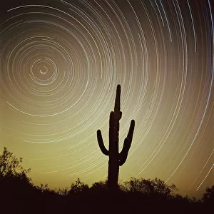 Star trek over cacti