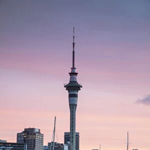 Viaduct Harbour and Sky Tower at sunset, Auckland, North Island, New Zealand, Pacific