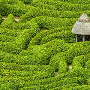 Garden Maze at Glendurgan Gardens, Falmouth, Cornwall, England