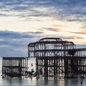 Starling murmuration above Brighton West Pier, East Sussex, England