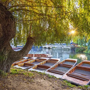 UK, England, Cambridge, The Mill Pond, Punts