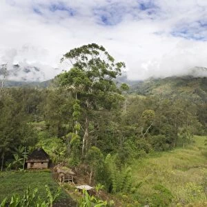 Agriculture and habitation in valley in Western Highlands near Mt Hagen Papua New Guinea