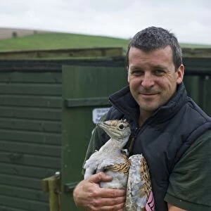 Al Dawes of the Great Bustard Group with a Great Bustard Otis tarda in preparation