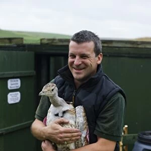 Al Dawes of the Great Bustard Group with a Great Bustard Otis tarda in preparation