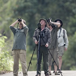Birding in lowland forest along road close to Sabang on Palawan Philippines