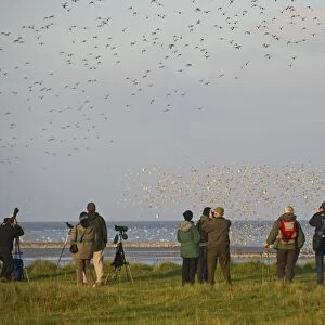 Birdwatchers watching waders over the Wash at Snettisham RSPB Reserve Norfolk winter