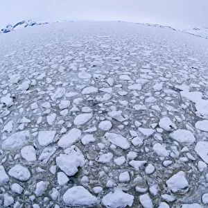 Brash Ice in the Lemaire Channel Antarctic Peninsula Antarctica