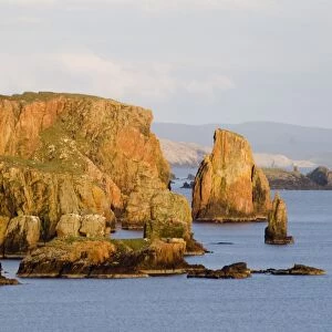 Cliff scenery NW mainland Shetland Scotland May