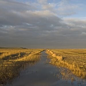 Dyke running across grazing marsh at Salthouse Norfolk winter