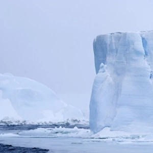 Edge of pack ice and Icebergs Snow Hill Island Weddell Sea Antarctica