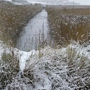 Freezing conditions on Cley NWT Reserve Cley Norfolk December