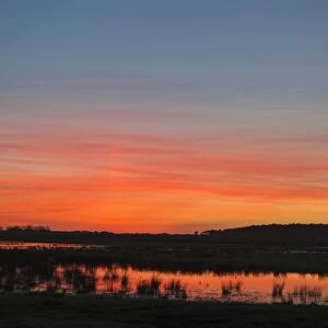Holkham freshmarsh viewed from Lady Annes Drive Norfolk at dusk winter