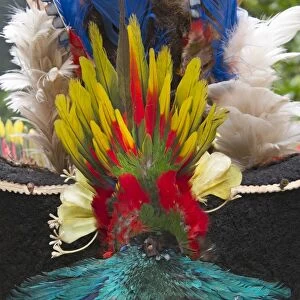 A Huli Wigmans wig from Tari in Southern Highlands Papua New Guinea. Feathers