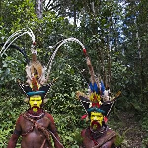 Huli Wigmen Timan Tumbu and Hale Johu from Tari Southern Highlands Papua New Guinea