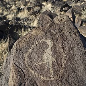 Hummingbird Petroglyph at Petroglyph National Monument Albuqurque New Mexico USA