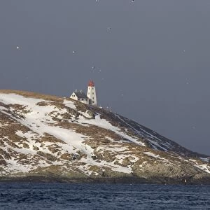 Island of Hornoya, Varanger Fjord, Arctic Norway March