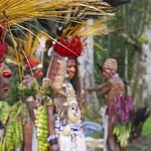 Jiwika Tribe from Western Highlands preparing for the Paiya Show in Western Highlands