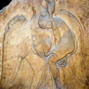 Prints of Images Dated: 2007