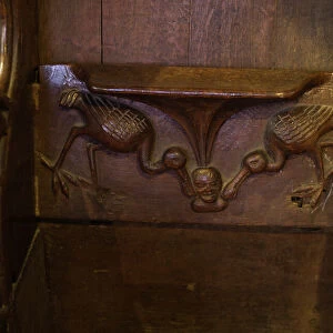 Misericord in Lavenham Church depicting Spponbills