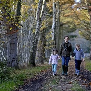Mother, son and daughter on woodland walk in autumn Norfolk