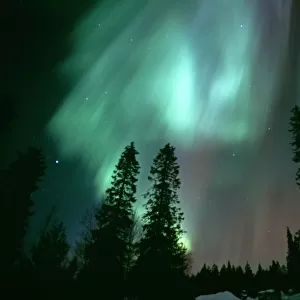 Northern Lights / Aurora Borealis, Kuusamo Finland, winter