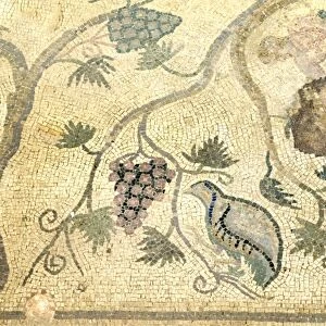Partridge - Chukar mosaic Paphos in Cyprus, one of the strongholds of the Ptolemaic kings