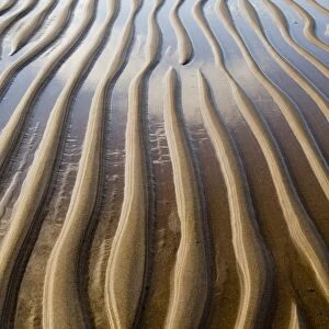 Patterns on sandy beach at low tide Northumberland UK