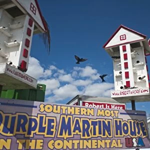 Purple Martin House Florida USA