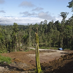 Ranforest clearance / logging near Tari Papua New Guinea