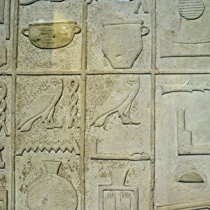 A relief from the walls of the tomb of Rahotep at Maydum Egypt dating to 2600 BC
