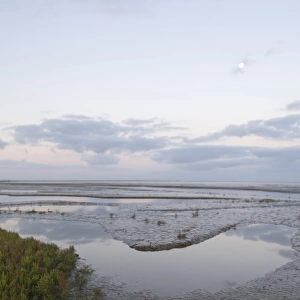 Saltmarsh and tidal mudflats of The Wash viewed on a full moon just prior to sunrise
