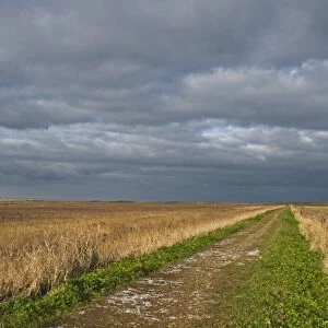 Stormy sky over the East Bank at Cley Norfolk winter