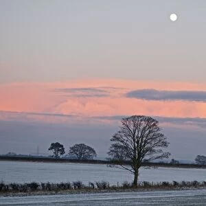 View across arable farmland near Gretna Dumfries Scotland at dusk december