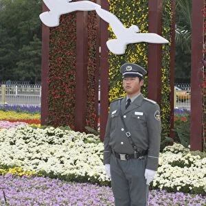 White Doves used in flower display as part of 2008 Beijing Olympics in Tianeman Square