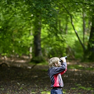 Young boy bird watching in woodland Norfolk summer Model released