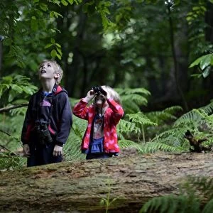 Young boy and girl )brother and sister) bird watching in woodland in summer Norfolk
