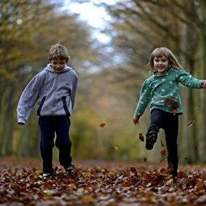 Young boy and girl kicking leaves in woodland Norfolk autumn