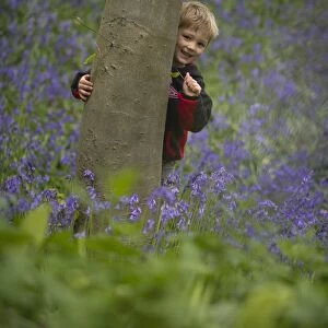 Young boy peeping around tree Norfolk May