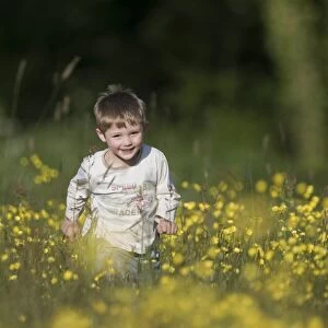 Young boy running through field of buttercups Norfolk May