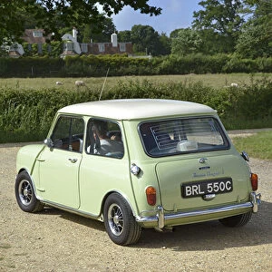Austin Mini Coopers 1965