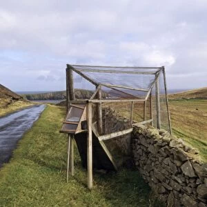 Heligoland trap, used to trap birds for ringing, Fair Isle, Shetland Islands, Scotland
