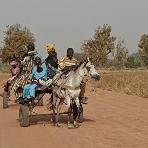 Senegalese family riding horse pulled cart to nearby market, near Toubacouta, Senegal, january