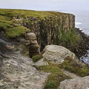 View of sea cliffs, most northerly point on mainland, Dunnet Head, Caithness, Highlands, Scotland, August