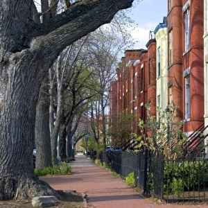 Brick row houses on Capitol Hill in Washington, D. C