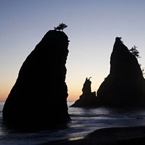 North America, United States, Washington, Olympic National Park, Pacific Ocean